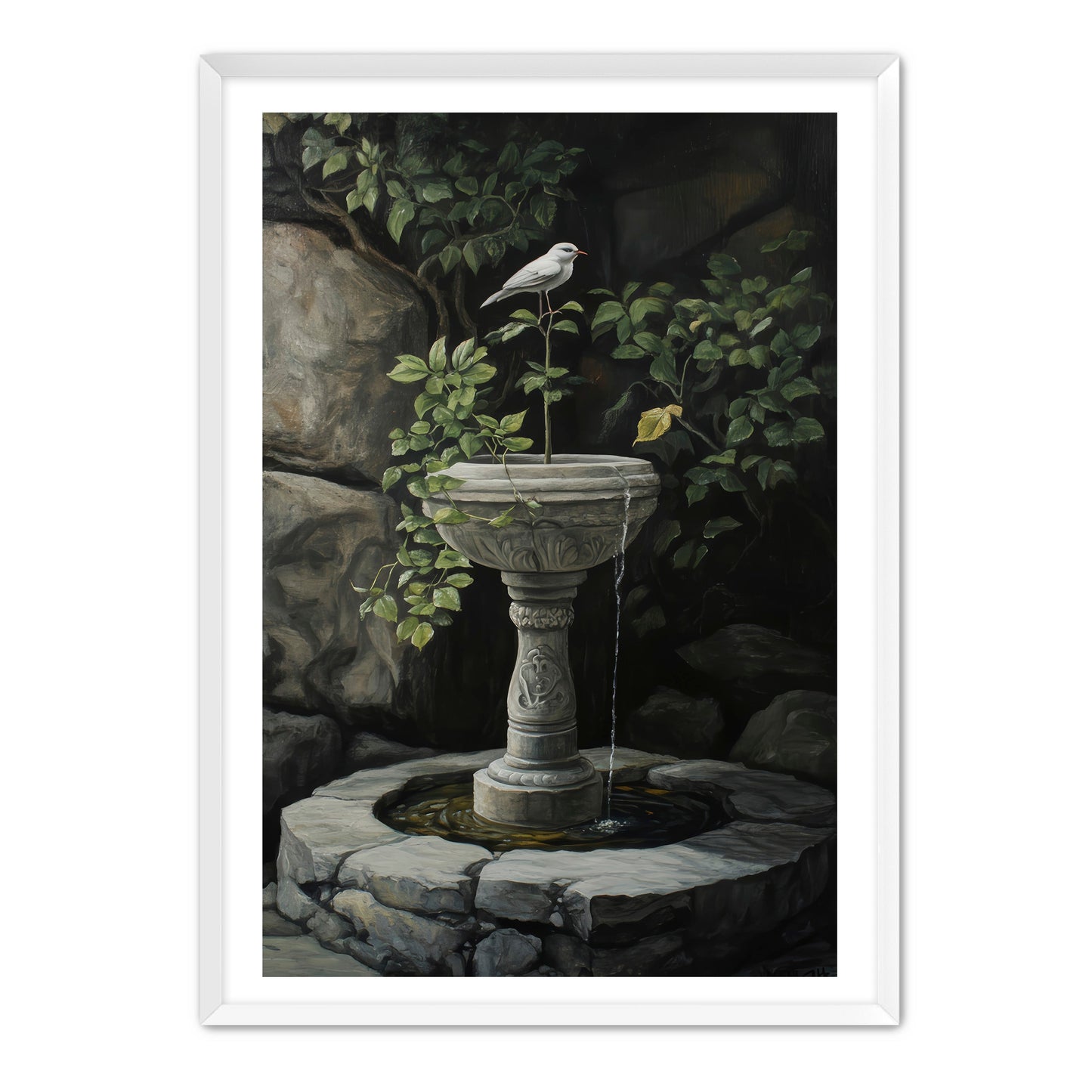 Bird Bath